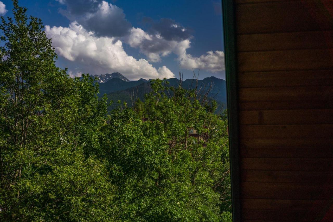 Willa Rzepicha Zakopane Esterno foto